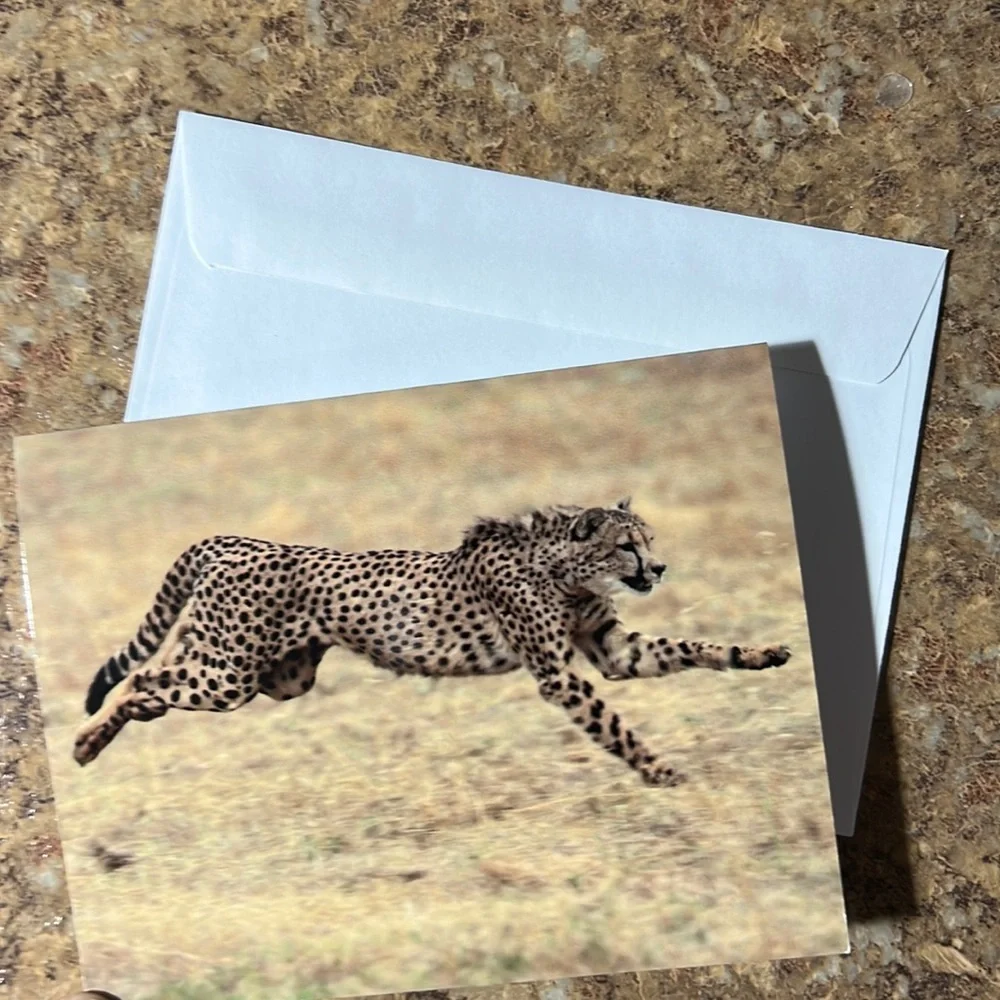 Cheetah Note Cards Set of Ten